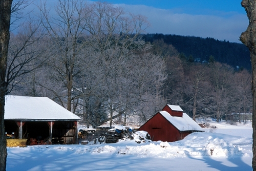 Image of Home Page