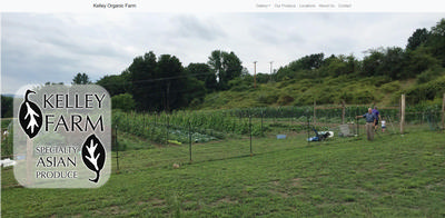 Image of Home Page