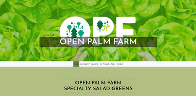 Image of Home Page