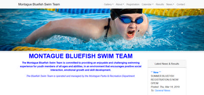 Image of Home Page