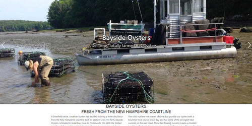 Image of Home Page